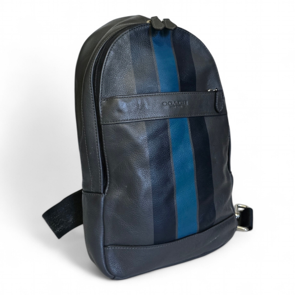 Coach Leather and Mesh Varsity Stripe Charles Pack Sling Backpack